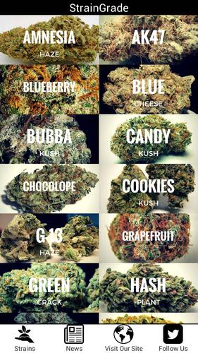 Strain Grade - Top Strains