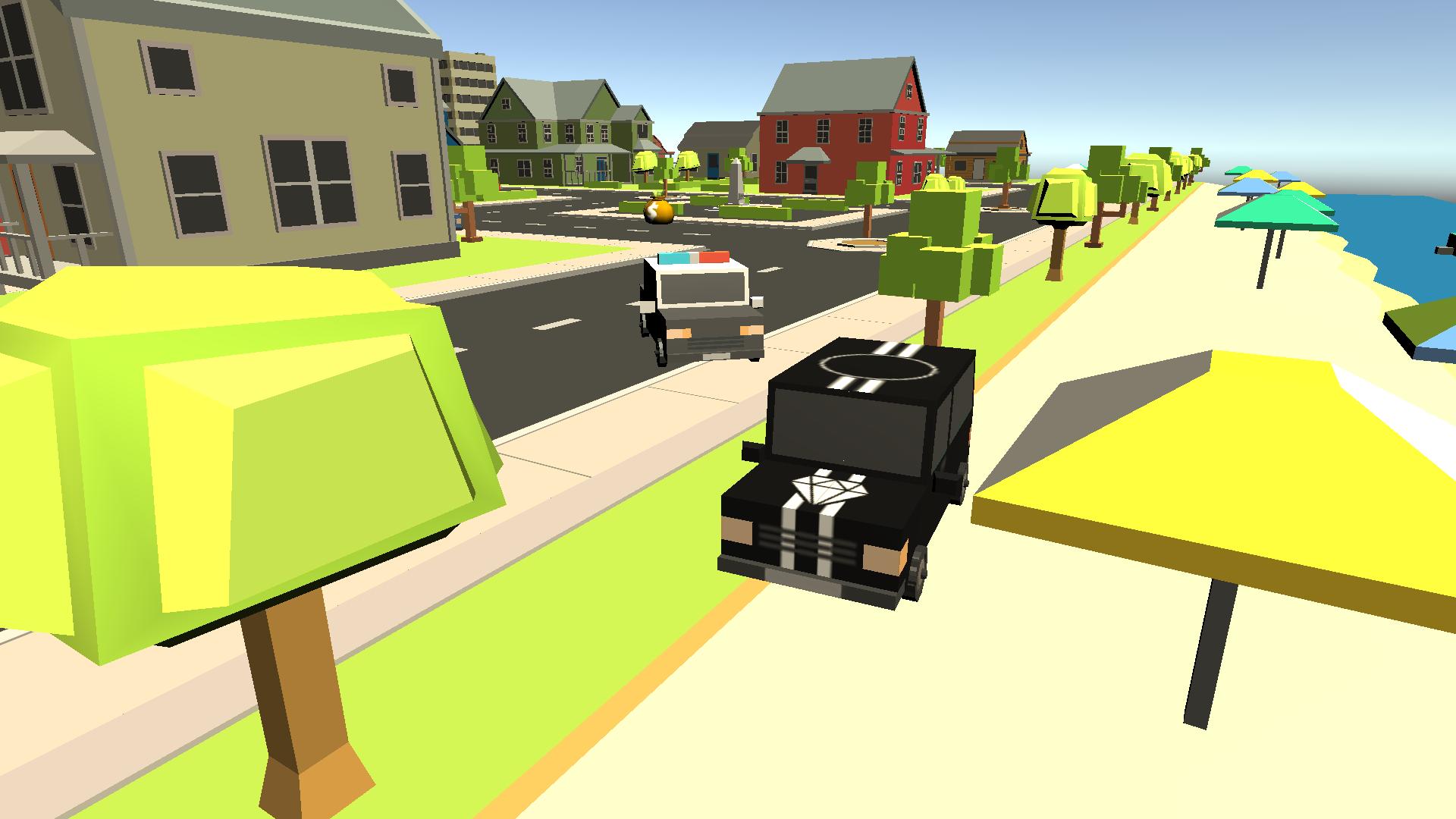 Robber Driver