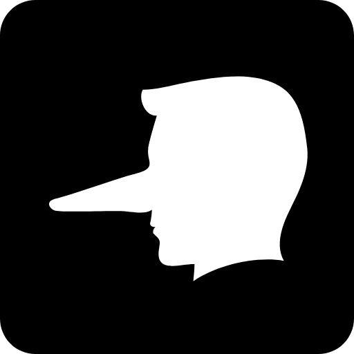 LieHunter
