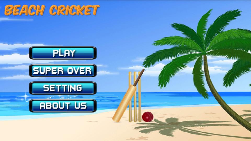 Beach Cricket 2017!