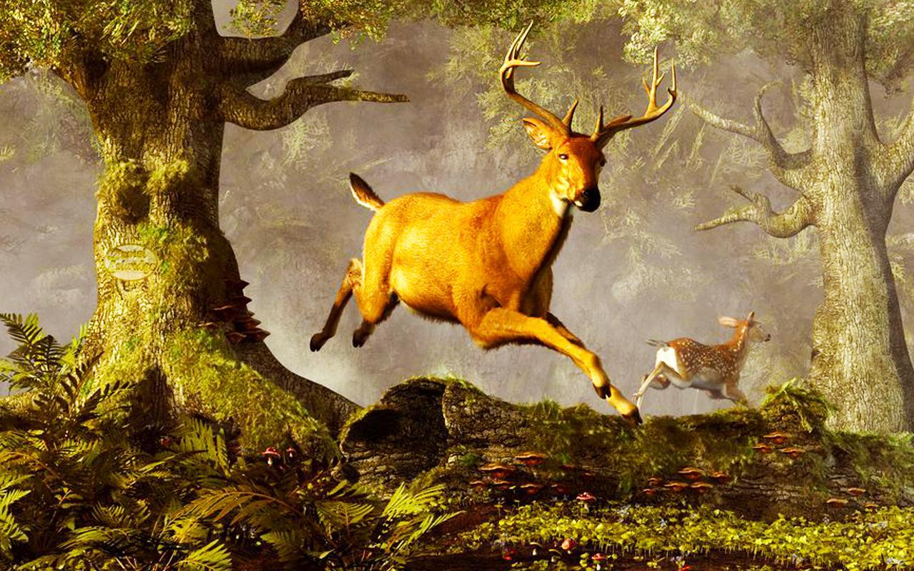 Deer Hunting - 2016 Sniper 3D