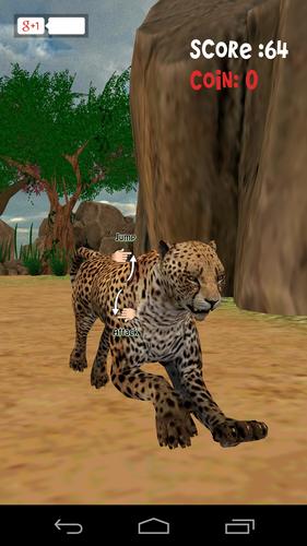 Animal Run :Cheetah 3D