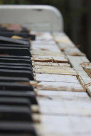 Musical instrument Puzzle