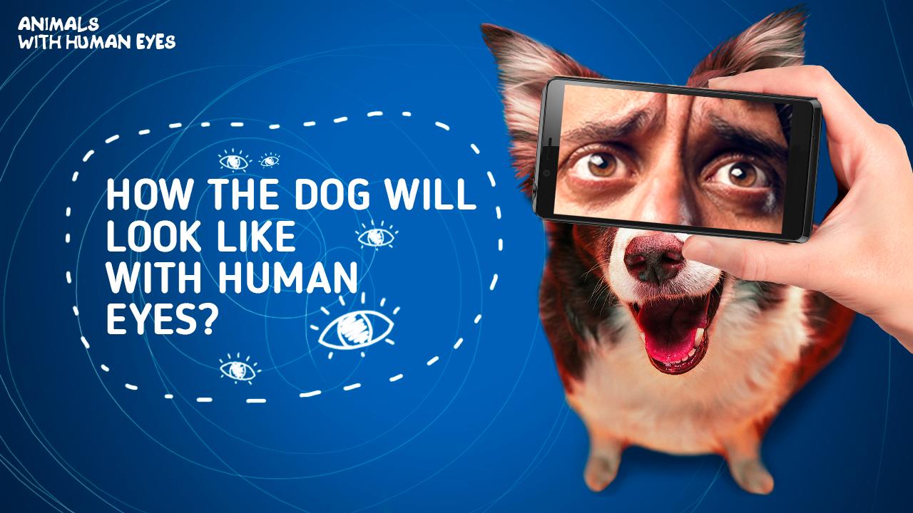 Animals with human eyes